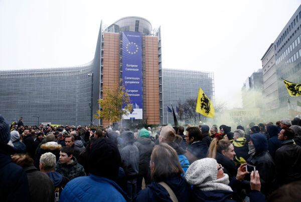 Different Shades of Black. The Anatomy of the Far Right in the European Parliament