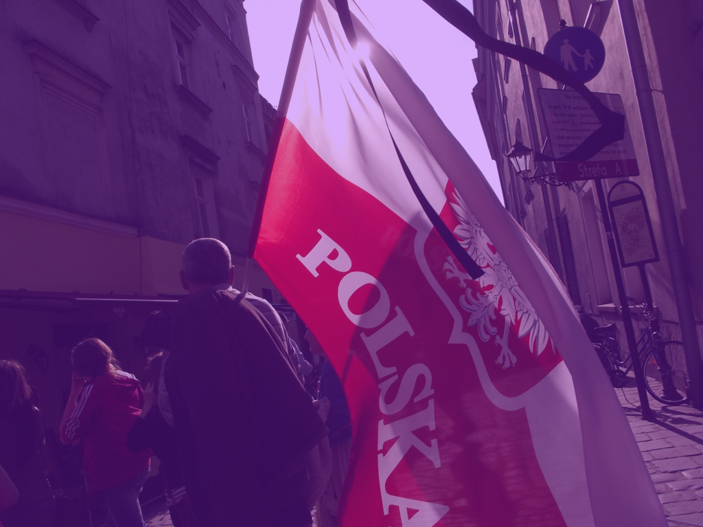 Andrada Dănilă et al., – Democratic backsliding: lessons to be learned from Poland
