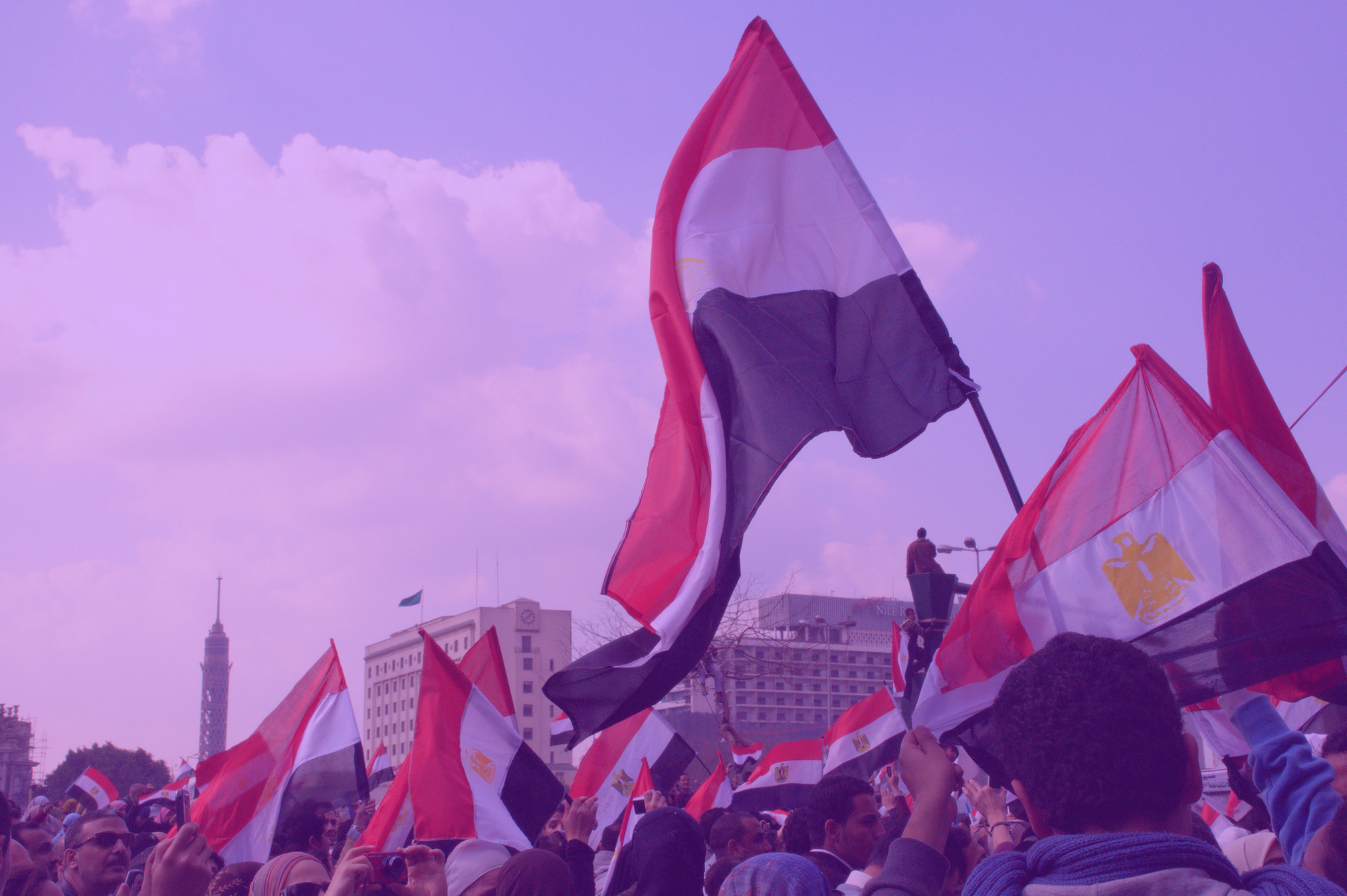 Nelly El-Mallakh – How do protests affect electoral choices? Evidence from Egypt