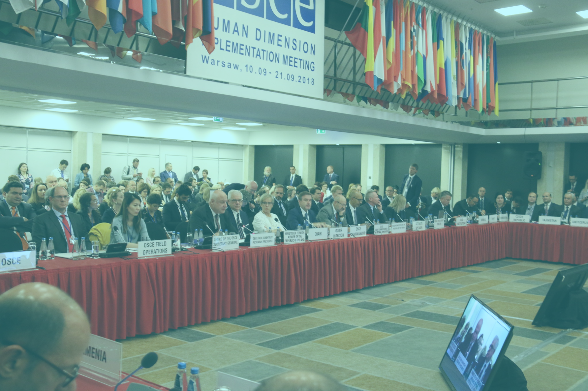 Photo: "George Tsereteli addresses the OSCE Office for Democratic Institutions and Human Rights HDIM in Warsaw, 10 Sept. 2018", by OSCE Parliamentary Assembly licensed under CC BY-SA 2.0. Hue modified from the original