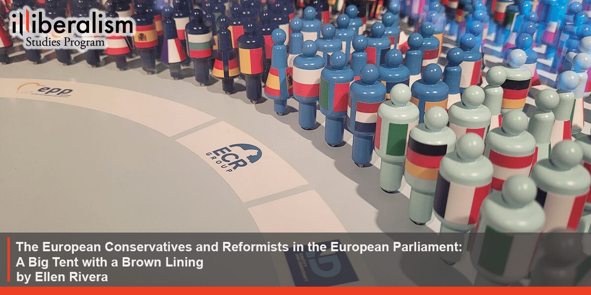 The European Conservatives and Reformists in the European Parliament A